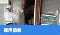 採用情報